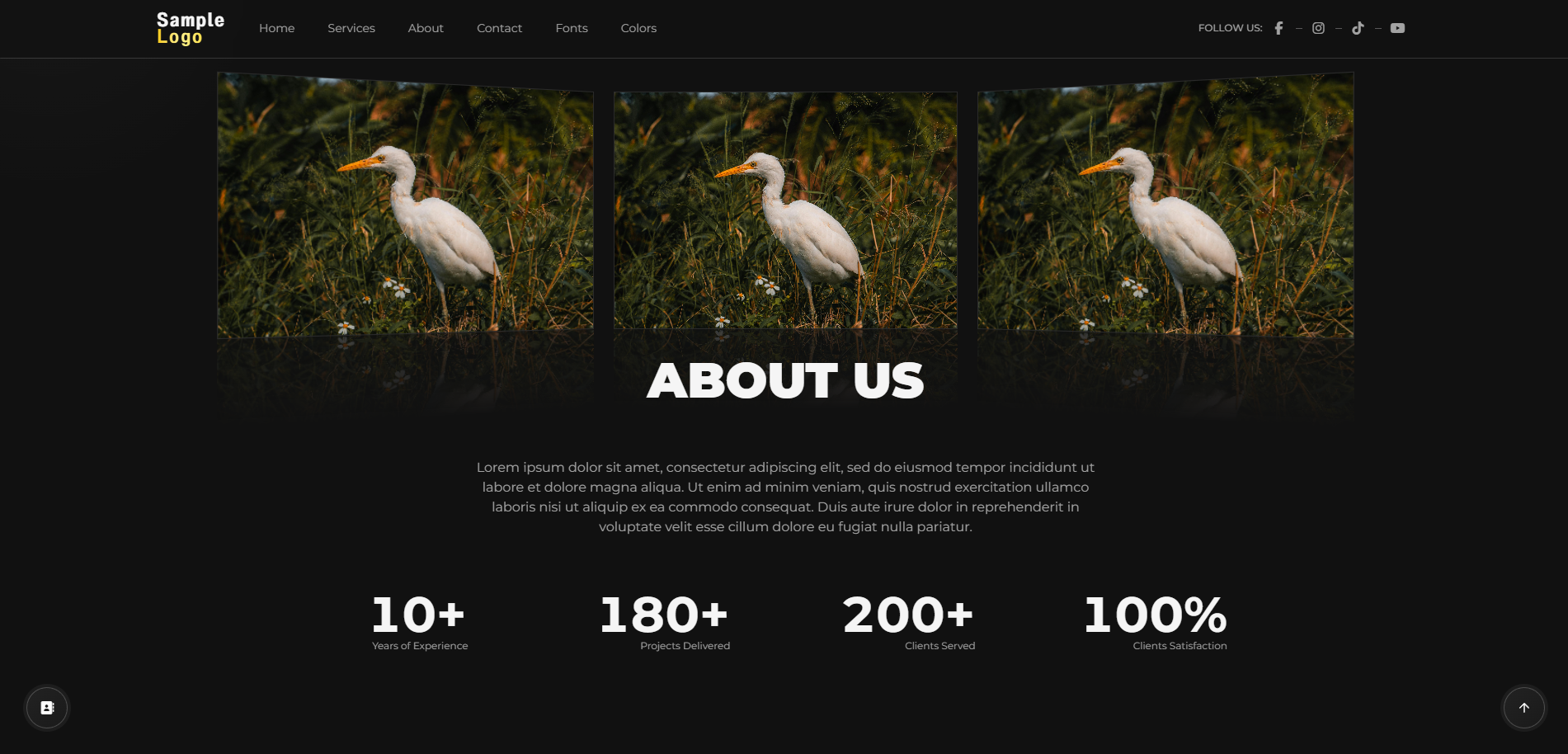 Screenshot of Modern Template